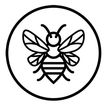 Honeyroot Logo